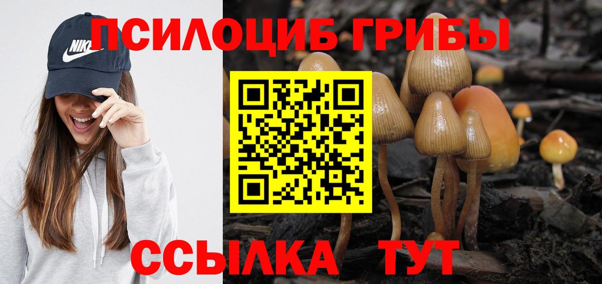 Псилоцибиновые грибы Psilocybine cubensis Ишим