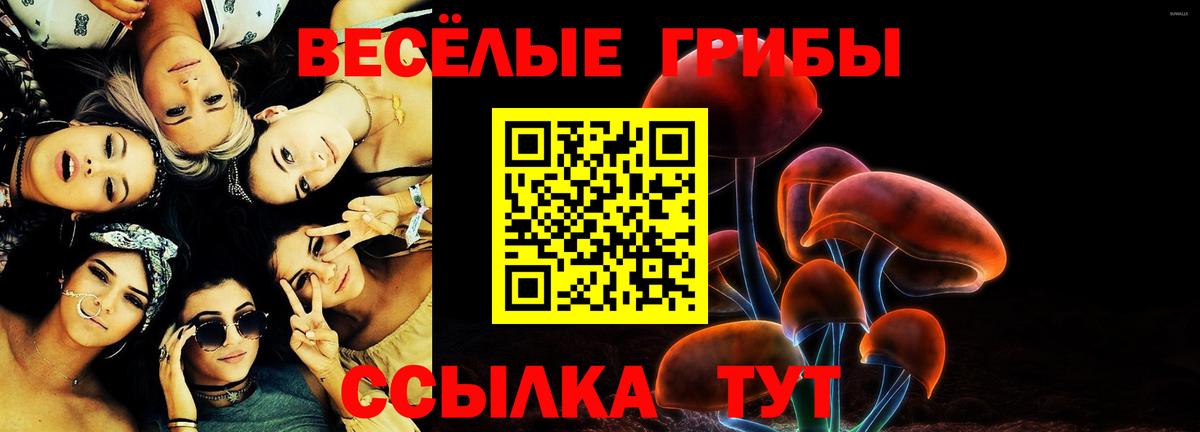 где купить наркоту  Псилоцибиновые грибы мухоморы  Вход с VPN  Ишим 